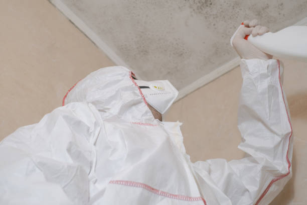 Best Fast Mold Removal  in Vermillion, SD